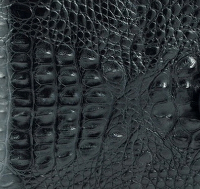 Кошелек из кожи крокодила KK-245B21 спинная и затылочная часть