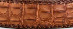 Ремень из кожи крокодила RK-115BR51 спинная часть