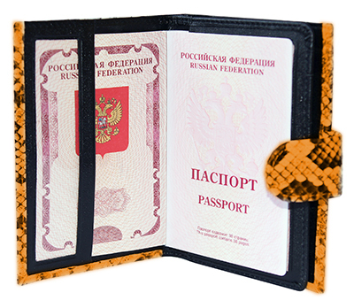 Портмоне из кожи питона PP-160O21 с обложкой для паспорта и автодокументов